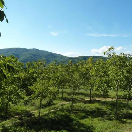 Vakantiehuis In Near Castello Bufalini