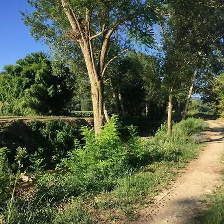 In Near Castello Bufalini Citerna